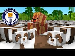 I Built a Panda Civilization