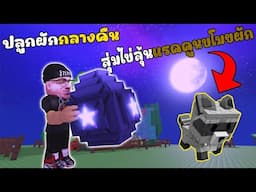 ปลูกผักกลางคืน สุ่มไข่ลุ้นแรคคูนขโมยผัก l  Grow a Garden 🍄