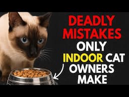 If You Have an Indoor Cat, STOP Doing This! -  ( Scientists Warn )