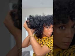 My Signature Fro Routine! #shorts