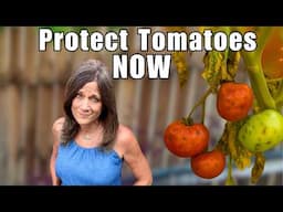 Tomato Disease Is Coming—5 Things You MUST Do NOW to Save Them