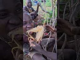 A day with the Hadza family #hadzabe #africa #hadzatribe #travelvlog