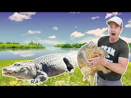 How I Prepare My Alligators and Exotic Animals For Summer (FULL TOUR)