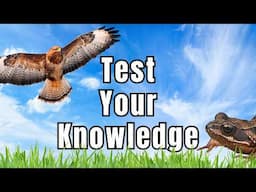 Can you answer these 8 WILDLIFE questions correctly?