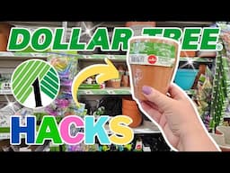 GENIUS 🤯 Dollar Tree DIY Crafts Using Terracotta Pots