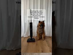 Put the new Dreame H15 Pro to the test against Flakes 🐶 - the best little helper at home!