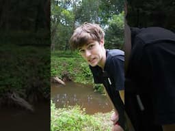 20 Minute Fish Trap Challenge! ⏱️🐟 What Can I Catch? #fishtrap