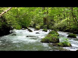 10 Hours of Mountain River Sounds – Flowing Water in Forest | White Noise for Sleep & Relaxation.