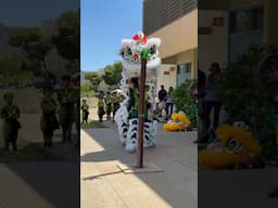 The dragon wants its veggies #dragondance