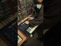 KORG MONO/POLY SPANK #vintagesynth #synth #korgmonopoly