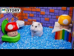 Super Mario Hamster Escape from King Boo Dungeon 🍄 Homura Ham Pets