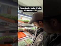 Grow Food, Money, & Feed Every Week All Year🌱🐓💰🔁