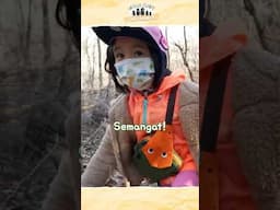 NAIK-NAIK KE PUNCAK GUNUNG KOREA! ⛰️