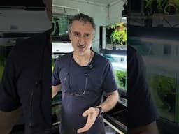 Great advice for any fish breeder! #aquarium #fishkeepinghobby #fishbreeding