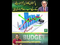 Pakistan ka wazir e khazana bannay k liye sab se zaruri cheez