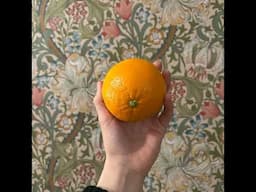 How to Preserve an Orange (Inner States Bonus)
