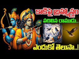 కాకిపై బ్రహ్మాస్త్రం వదిలిన రాముడు..ఎందుకో తెలుసా..! Interesting Facts About Sitarama | Ramayanam
