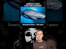 Longest Living Animals EXPLAINED
