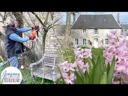 Spring has Arrived at the Chateau! The Clean-Up Work Begins