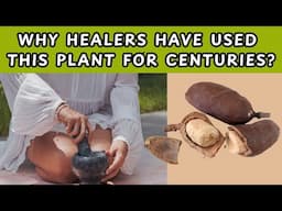 Stinking Toe: Ancient Medicine for Inflammation, Candida, Respiratory Issues & More!