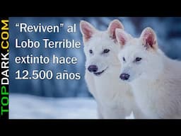 40 Animales Que Regresaron de la Extinción