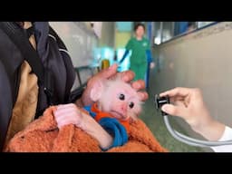 Baby monkey see doctor, CUTIS worry waits at home