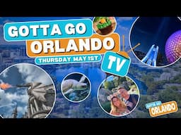 Gotta Go Orlando Live Stream