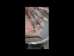 Oat Milk Soap Lather