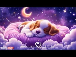 Mozart Lullabies for Babies ♫ 10 Hours of Deep Sleep & Brain Development Music for Newborns #1019