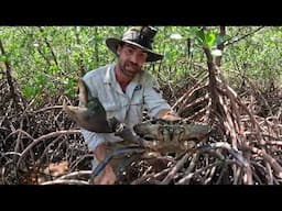 Exploring the Mangroves for Bush Tucker with Back 2 Basics!
