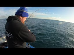 back 2 basics inshore snapper and dhu fish tips n tricks