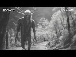 20 Scariest Hiking Encounters Caught On Camera