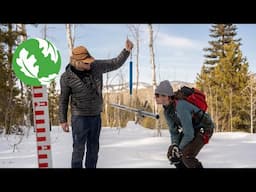 Forests for Freshwater: Can People Help Forests Store More Snowpack?