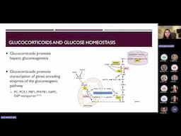 Understanding Malglycemia in youth with acute lymphoblastic leukemia   Pediatric Grand Rounds 6 6 20