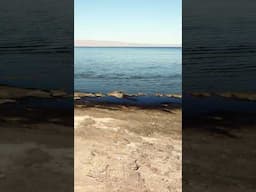 Dangerous Life in Salton City, California