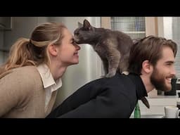 Cats with Dad vs  Mom the hilarious difference!