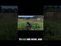 Watch This Puppy Discover Her Instincts for the First Time!
