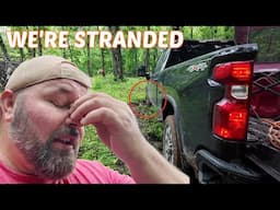 We're Stranded  In The Woods During The Flood