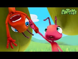 Up Up and Away! | ANTIKS | Funny Cartoons For All The Family!