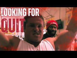 LOOKING FOR QUIT! REVAMPED