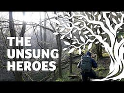 The Unsung Heroes of Woodland Photography