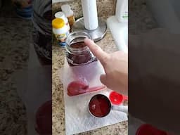 Starting a fresh brew of Egyptian Hibiscus Kombucha from Positively Probiotic!