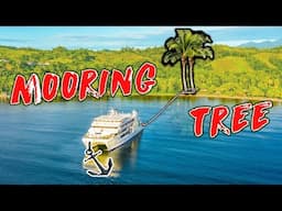 🌴An Unusual Mooring Operation - to Palm Trees!?🌴 That Helped Restoring Eyesight to The Blind!