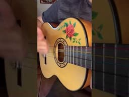 Arles Romance LucasGitanoFamily Café de la nuit Van Gogh Arles guitar rhythm strum pattern