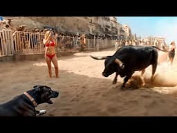 80 Times Animals Messed With The Wrong Opponent