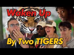 I Took Students on a Free Trip to Nantong - and Found a TIGER in Our Room?!