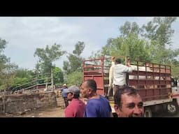 Animales en Venta en El Tránsito San Miguel El Salvador On
