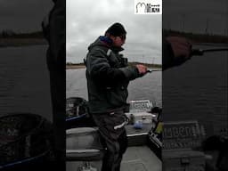 Catching Fish: Easy Fishing Techniques for a Tasty Meal!