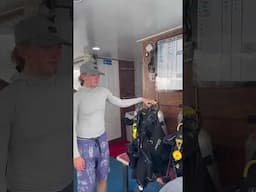 Phuket Dive Tours Video 2025 06 08 at 08 45 47