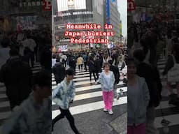 Busiest Pedestrian in Japan!